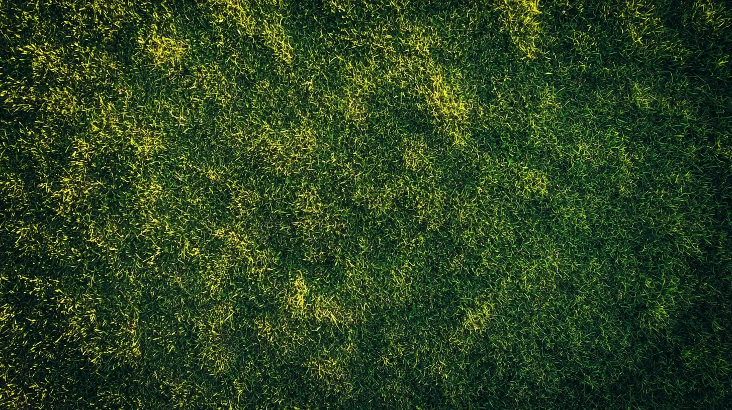 lawn aeration sarasota fl.png